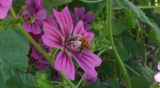 Effect_20180622_102135.jpg